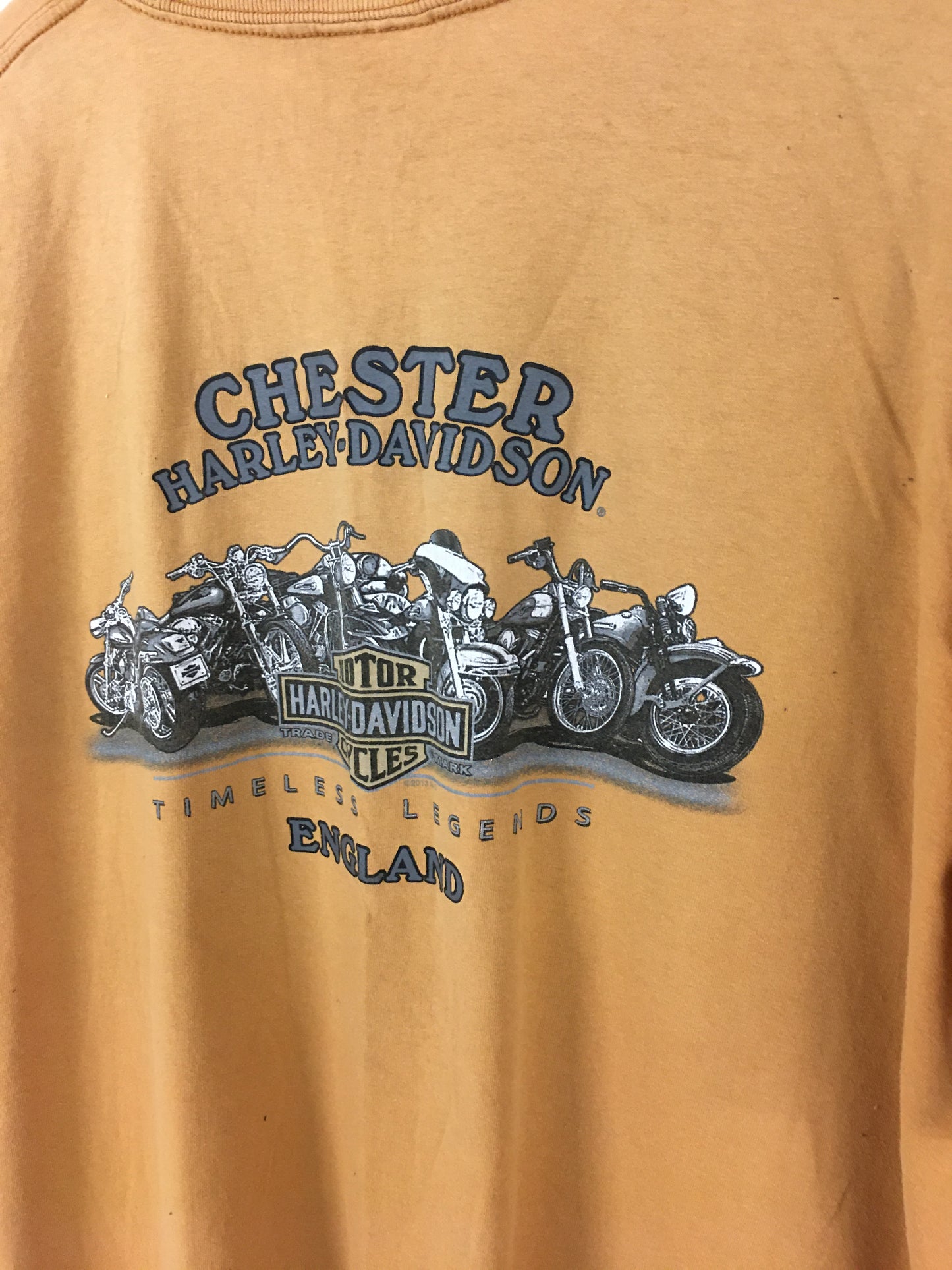 Vintage Harley-Davidson Chester Tee – XL